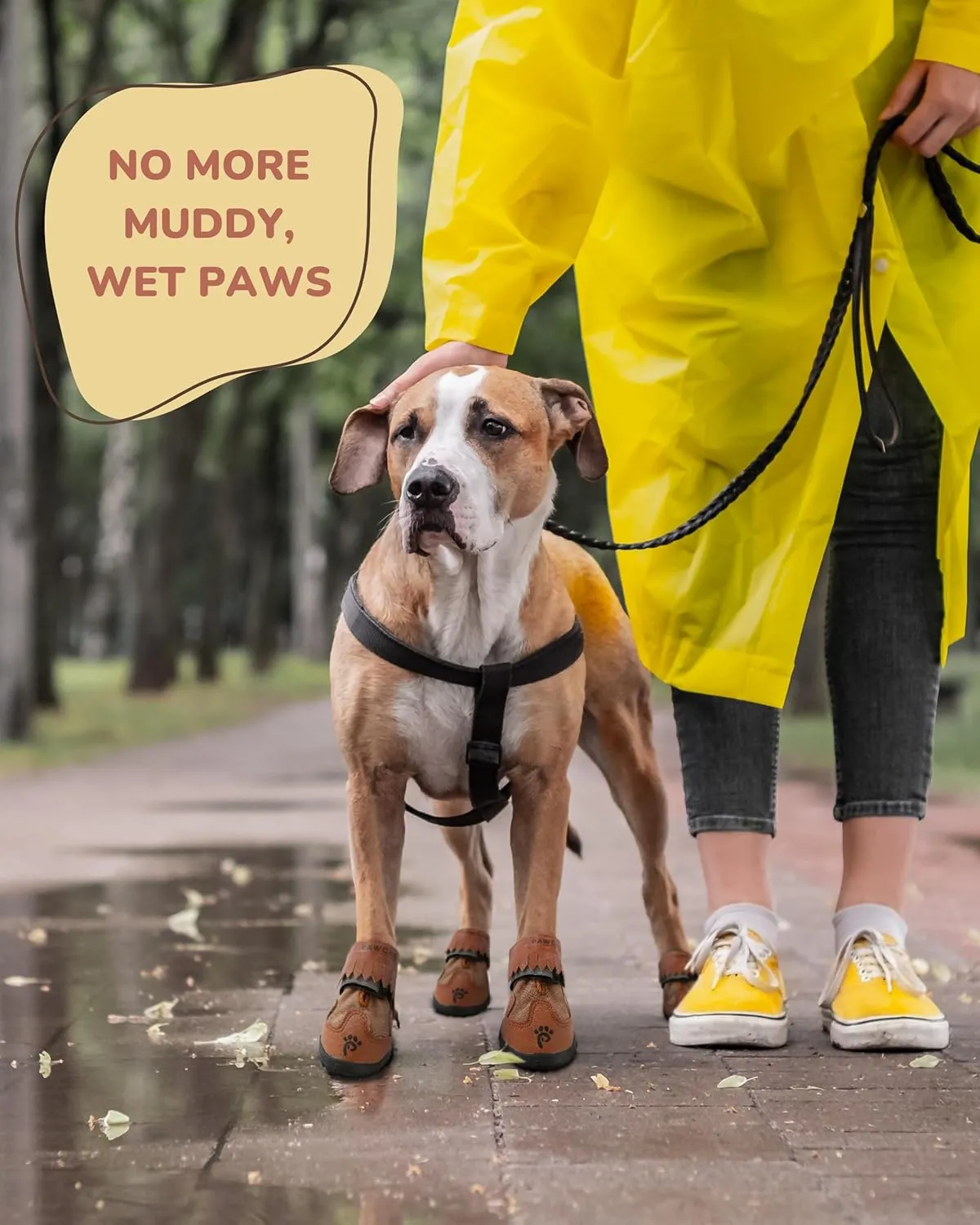 Dog Boots & Booties - All-Weather Protection for Small, Medium & Large Dogs (Size 7)