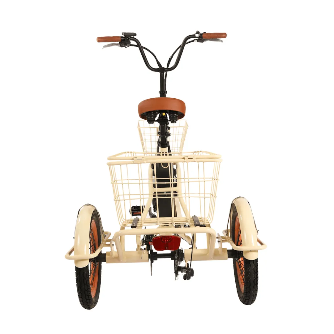 Easy Transit 750W Folding Electric Trike