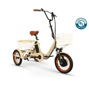 Easy Transit 750W Folding Electric Trike