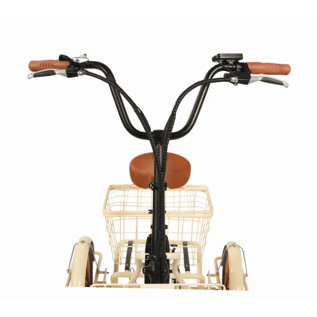 Easy Transit 750W Folding Electric Trike