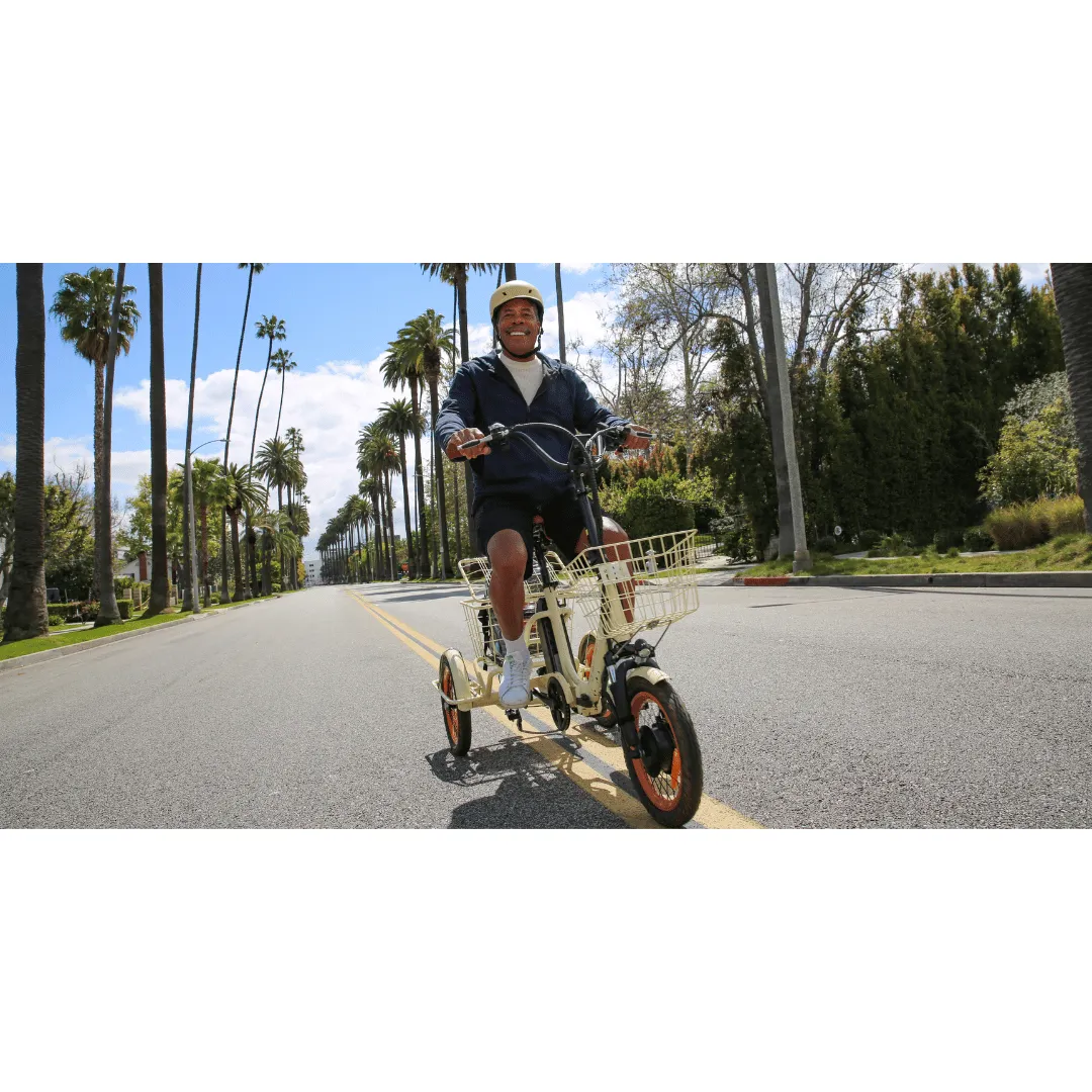 Easy Transit 750W Folding Electric Trike