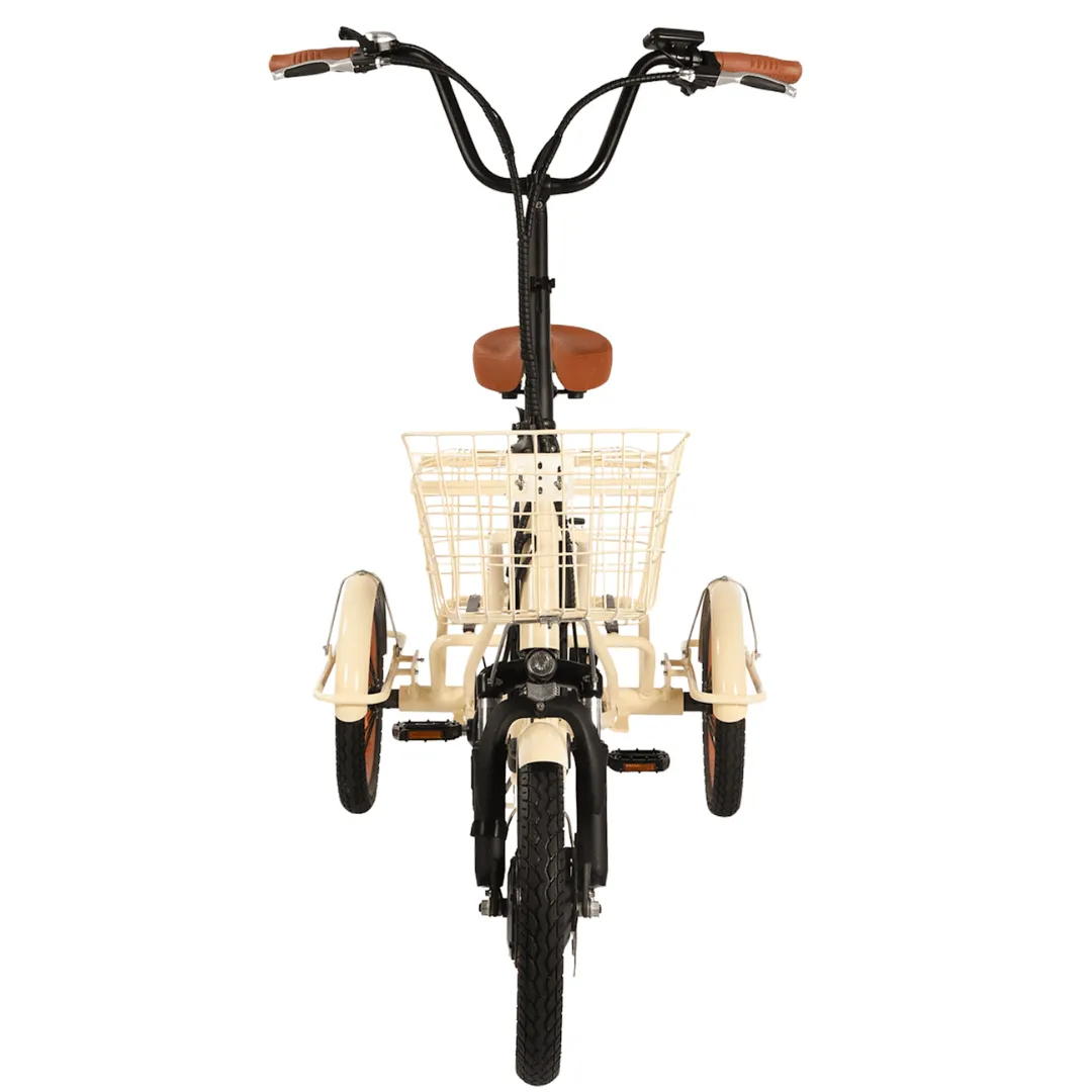 Easy Transit 750W Folding Electric Trike