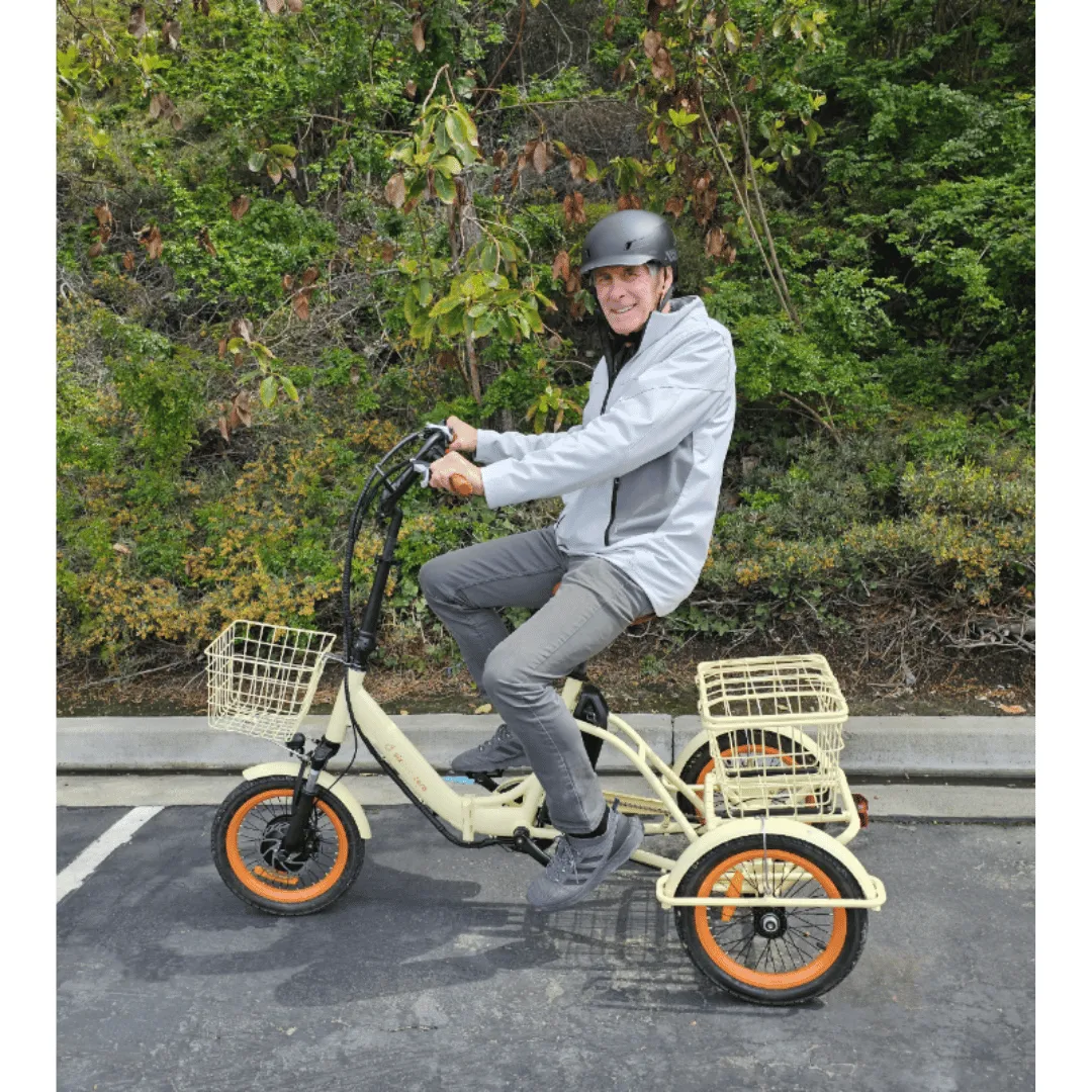 Easy Transit 750W Folding Electric Trike