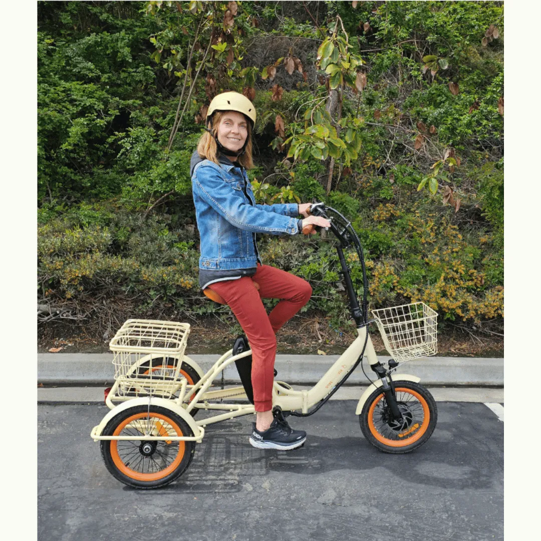 Easy Transit 750W Folding Electric Trike
