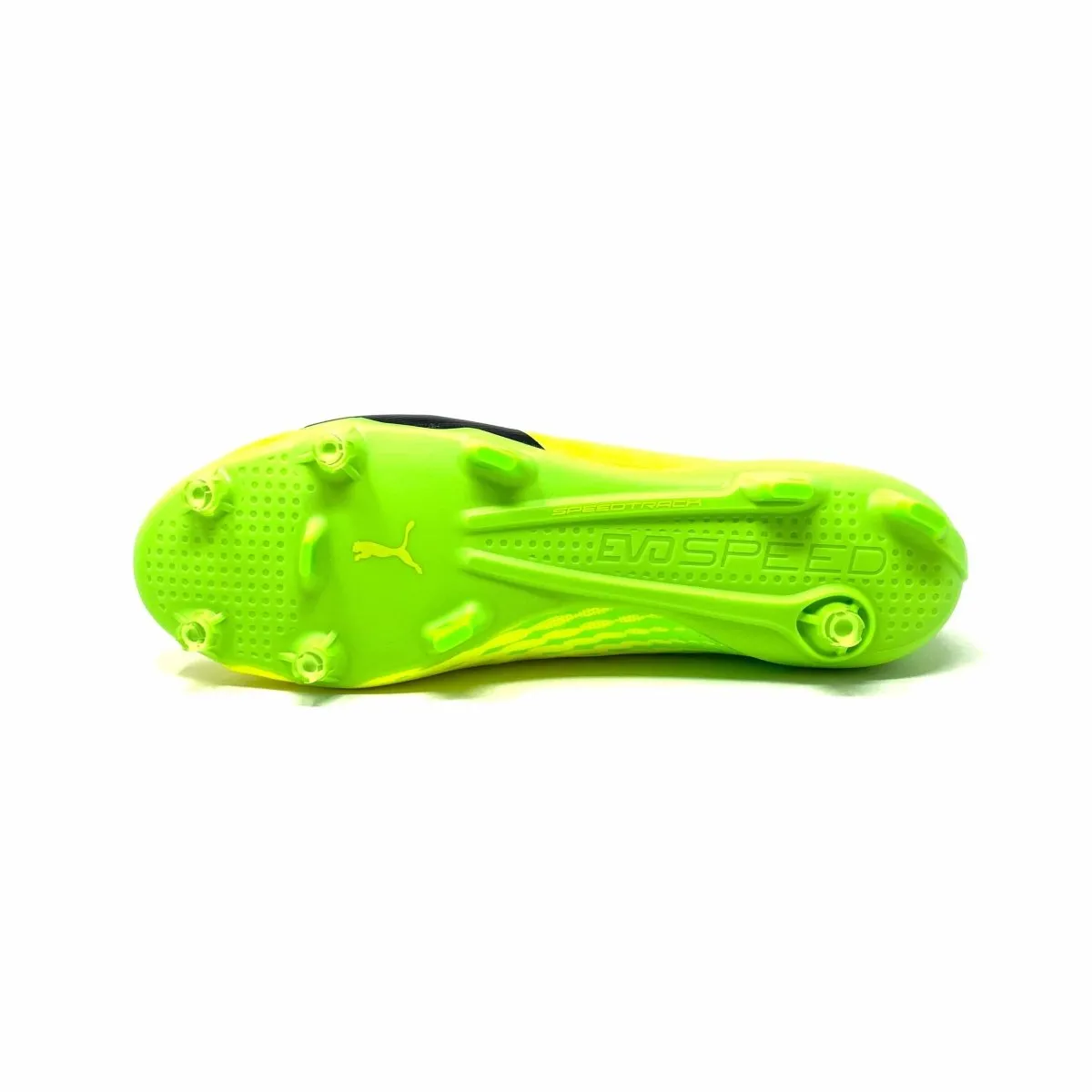Puma Evospeed 17 SL S FG 104010-01
